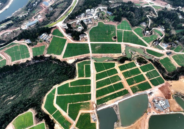 �����Ĵ�ʡͨ���ع����򹹻�ƺ������ĸ߱�׼ũ�ͨ����ί��������ͼ