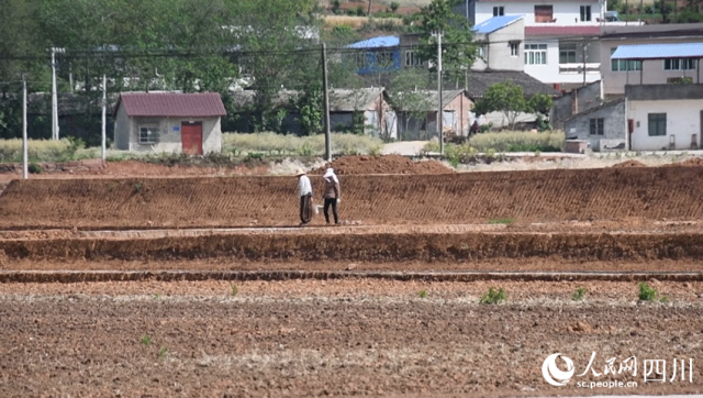 �н�����̨����λ�������ڸ���ĸ߱�׼ũ�����������������齭 ��