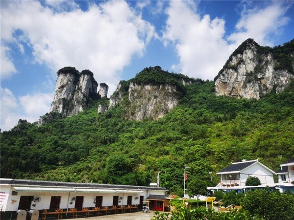 数字乡村聚力帮扶在行动 看化屋村数字化新“黔”景
