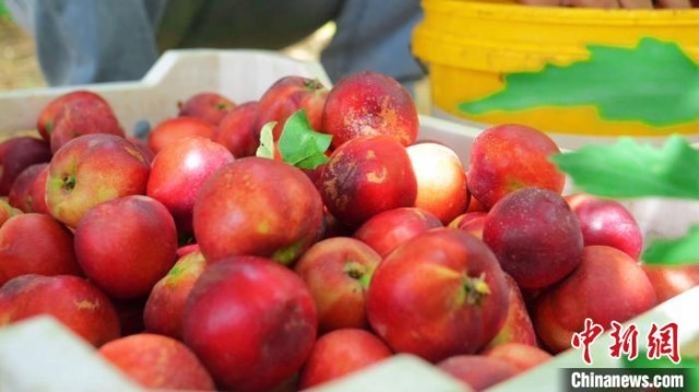 ���ҡ����������ۣ��½��⳵��Ķ����ϲ����