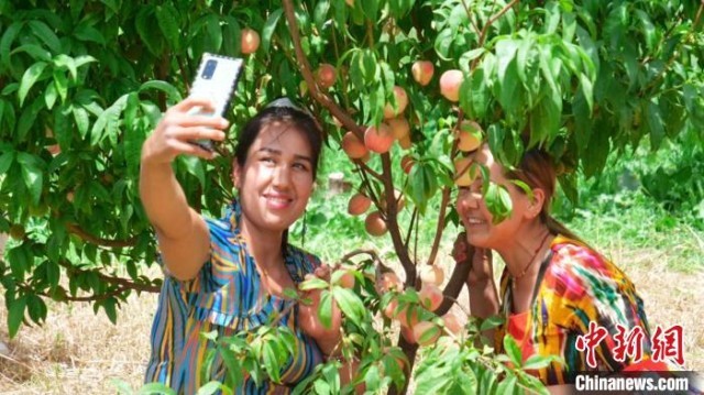 �����οʹ����ڹ����䣬��ѡ�������ʺ�����ң�������԰��ժ��Ȥ���������� ��