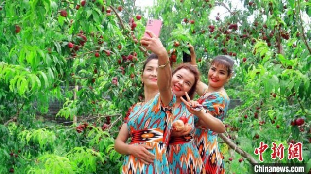 �ο�������԰�����մ򿨡�����˳�� ��