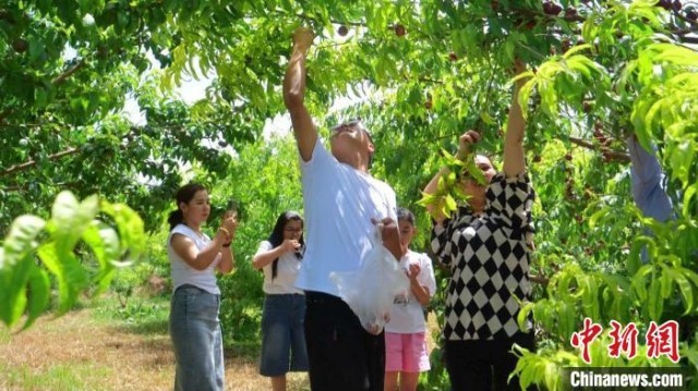 ���ӹ����˱����˴������Σ������˲����ο�ǰ�������ժ���������� ��