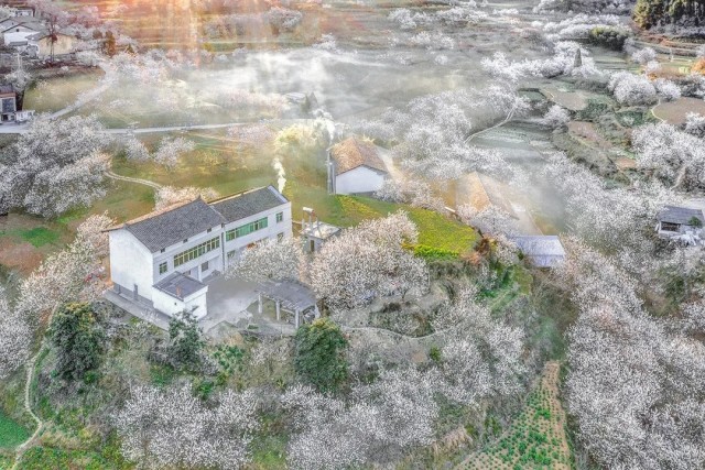 QQͼƬ20221229202218