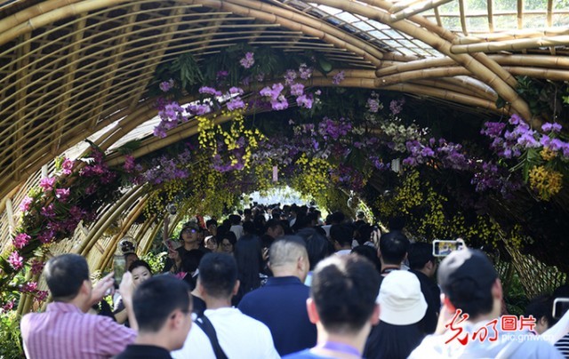 亚运会打卡钱江世纪公园丨在杭州感受亚运精神与友谊之花