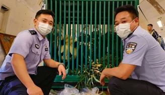 ����è�����ǡ��ع� �ɶ��߼쿪ͨ����ɫͨ����ӭ��.jpg