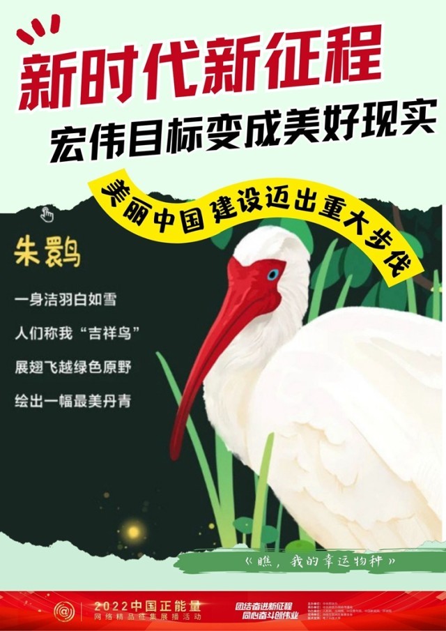 ����������ʱ�������� ��ΰĿ����������ʵ