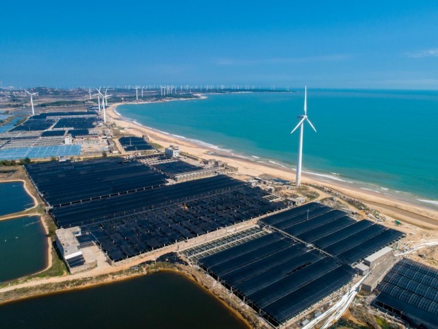 ������ǰղ������ֳ���� ����̩������ǰղ�򺣱�