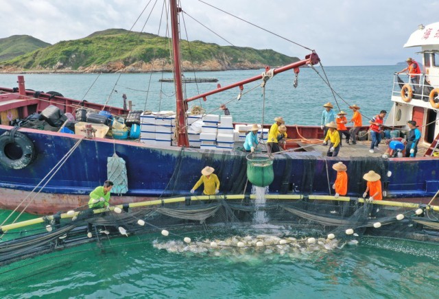 �����ڴ��쵺�������ֳ���ز��̡������㡱 ���� ��