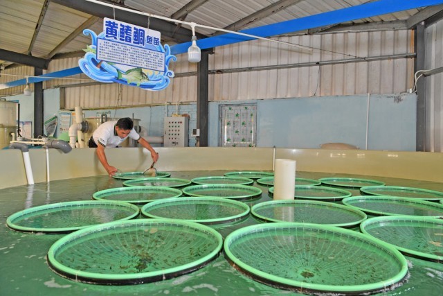 �����غ���ˮ����ֳרҵ�����纣ˮ������ֳ�� ������