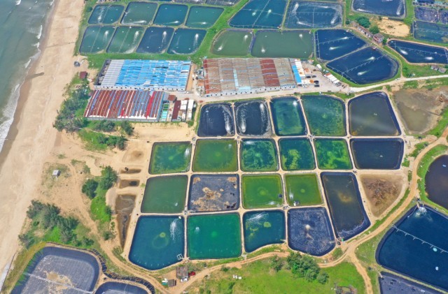 ������������ɳ���庣̲�ϵĺ�����ҵ��ҵ԰ ���� ��