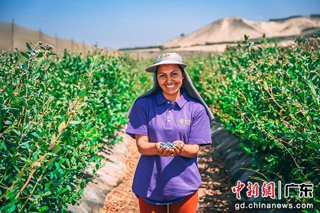 ������³ɳĮ��ݮ��ֲ԰��ͨѶԱ��ͼ��