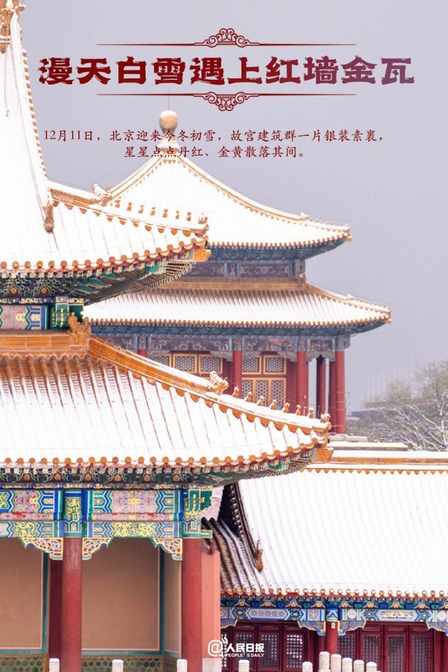 2023����һ�۾��޵Ĺ�������