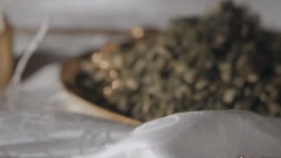 �´��߻������Ѱ��ͩ�ۣ���˿�Ļ��������﷫