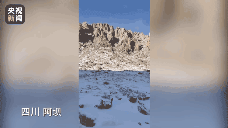 四川阿坝莲宝叶则区域首次拍到雪豹画面