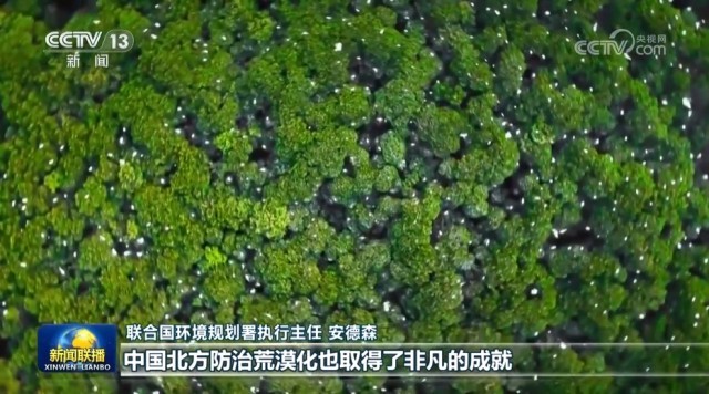 联合国环境署负责人表示中国绿色发展成就非凡
