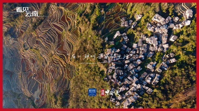 台湾花莲地震遇难人数升至10人