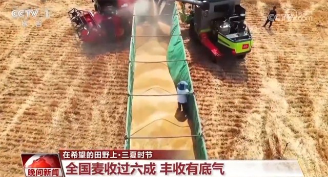 全国冬小麦收获进度已过六成 “丰”景喜人夯实“中国饭碗”底气