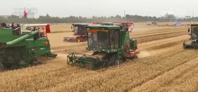 全国“三夏”大规模小麦机收结束 多个主产区夏粮增产明显