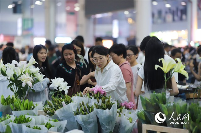 游客在昆明斗南花草市场选购鲜花。东说念主民网记者 李发兴摄