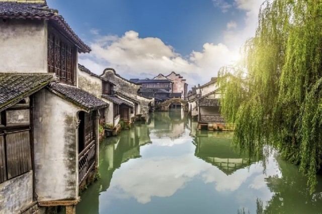 ���򶯹۲������֣�ǣ����ʽ�������֮Ŧ��