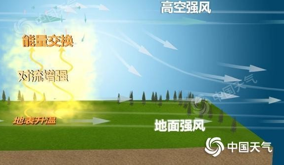 W020250412740960459251_副本.jpg