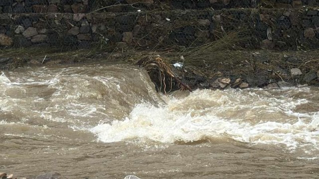 密云水库最新信息 W020250727548559127255.jpg