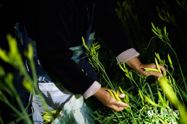 �ƻ���ժ��