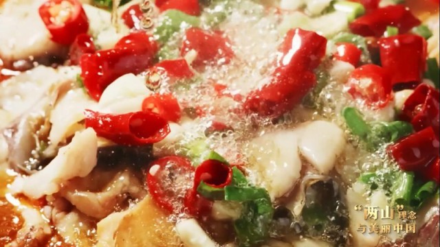 ����ɽ�������������й�ح���޷ϳ��С���ɫ�����������Ϊ�� ѭ������