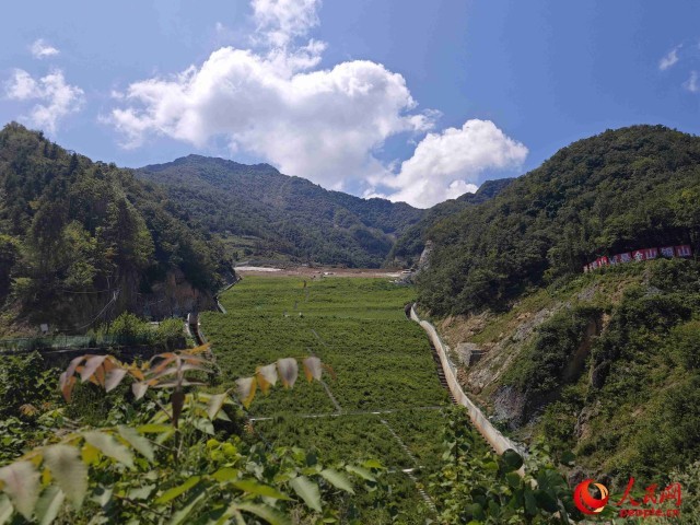 �Ѳ��ָ��̵����泡������������ ������