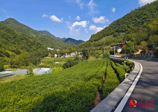 ��˹��Եķ�˴塣���������� ������