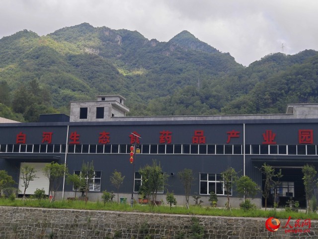 �������½����������������������� ������