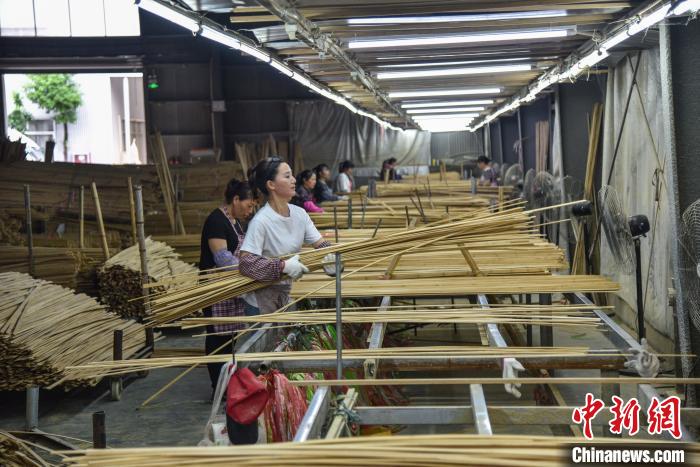 浙江龍泉查田鎮竹木製品加工廠生產車間 範宇斌 攝