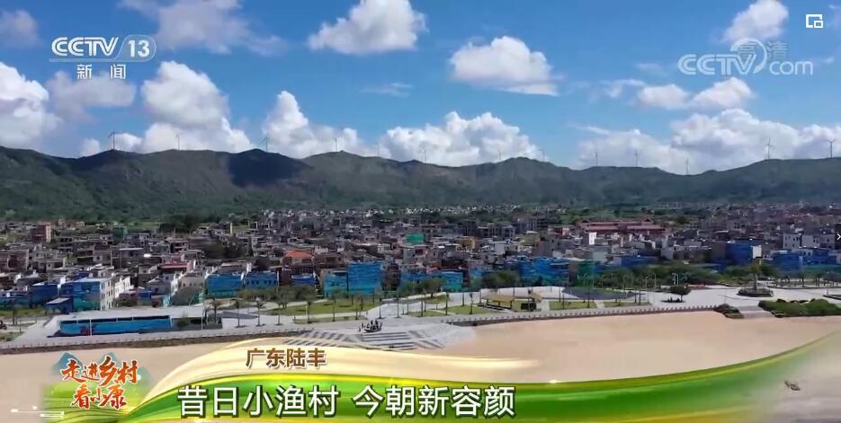 走进乡村看小康 | 广东金厢镇:旧貌换新颜 美丽乡村变身网红打卡地