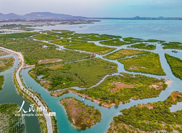 海南陵水湿地公园春景美