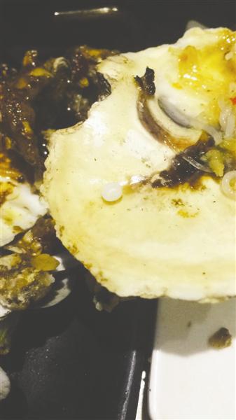 食客吃生蚝被珍珠硌牙 准备拿其做戒指(图)