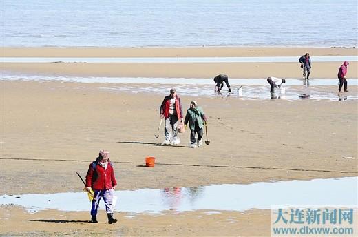 市民在甘井子区夏家河子海域赶海