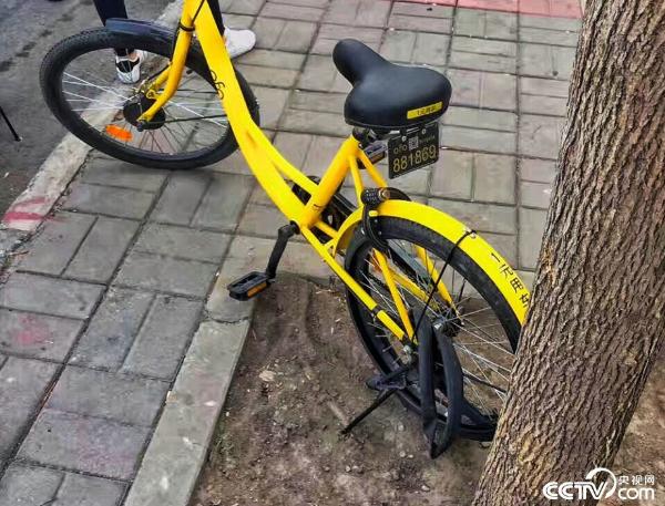 乘客道德掉鏈子小黃車藍瘦香菇