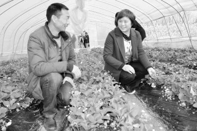 中行荆门分行践行普惠金融 推出 服务接地气、