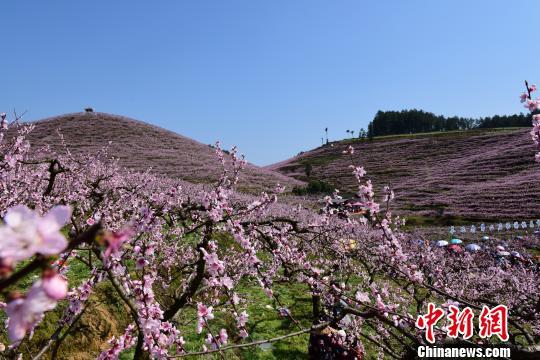 近日,貴州岑鞏縣客樓鎮舉辦以