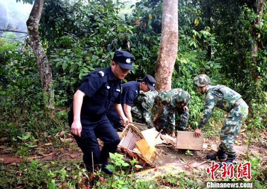 民警将囚禁画眉鸟的鸟笼捣毁. 岩罕温 摄