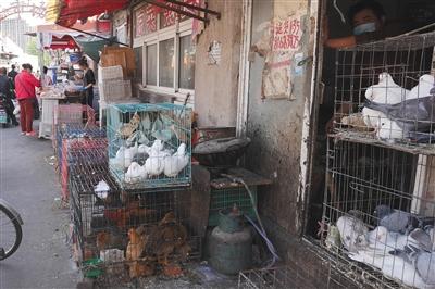 个别摊贩农贸市场附近现杀活禽出售