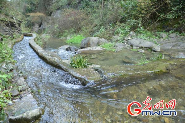 充沛的大发渠水 摄/王恩慧