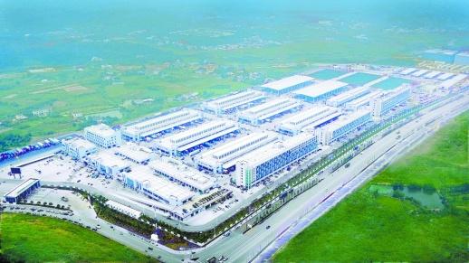 海吉星蔬菜批发量跃居全国第二