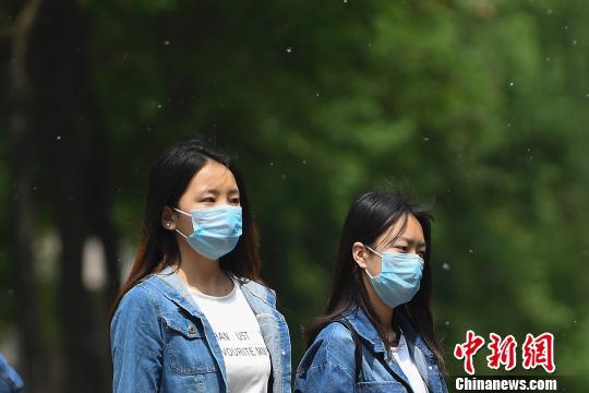 杨柳絮乱飞惹人烦民众戴口罩出行