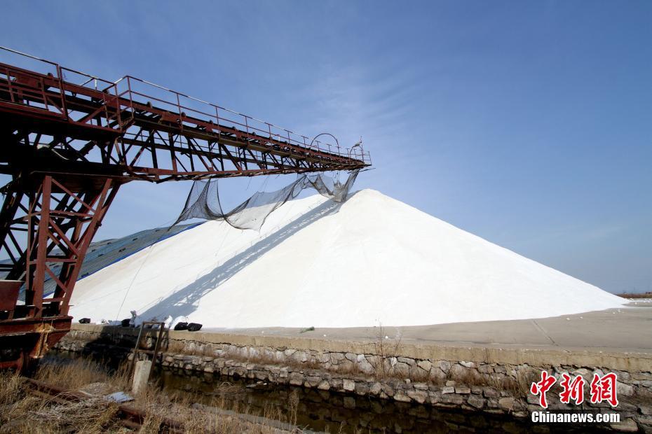 食盐是如何制成的?探访天津长芦汉沽盐场