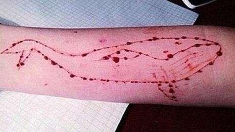 ���Ѷ�㡰������Ϸ�� �Ƴ����滭�硰ѧ�԰桱