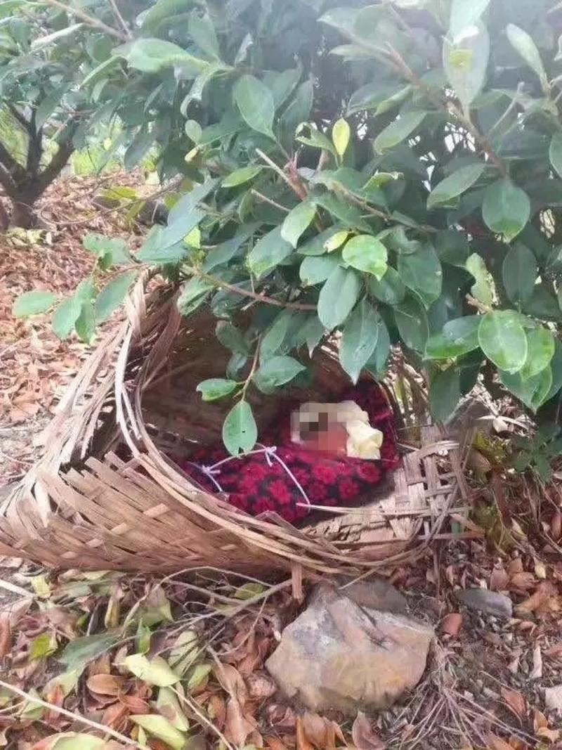 90后女子疑医院大堂急产 早产儿被遗弃在烂箩筐