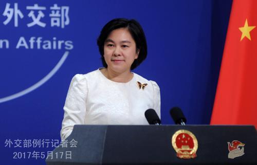 图为华春莹 外交图网站图