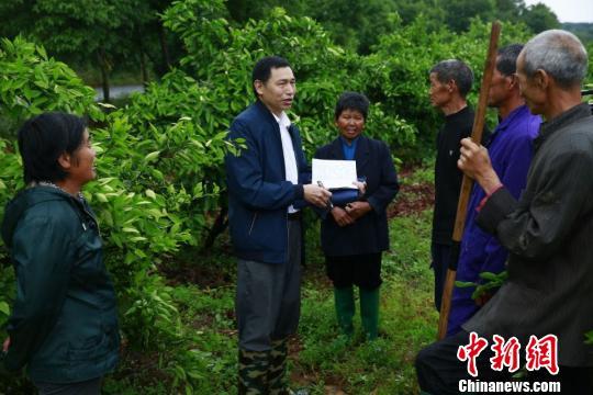 刘景贵(左二)在当阳市淯溪镇春新村搜集问题线索 向晶方 摄